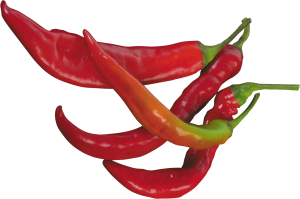 Red chili pepper PNG image-3235